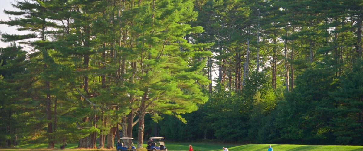 Jamestown which includes golf