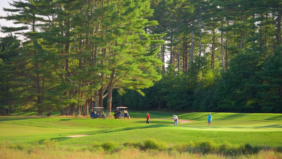 Jamestown montrant golf
