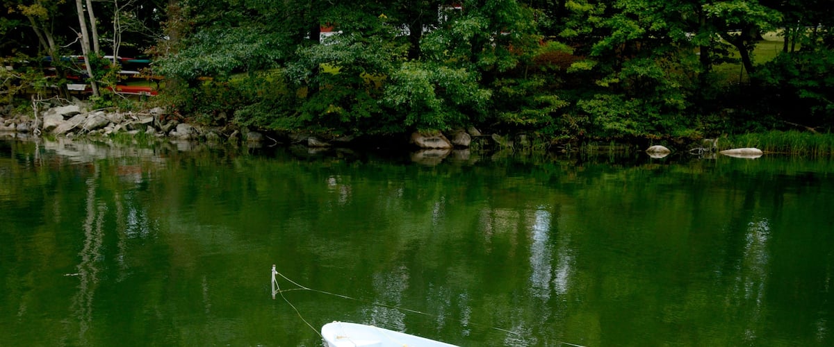 Noank showing a pond