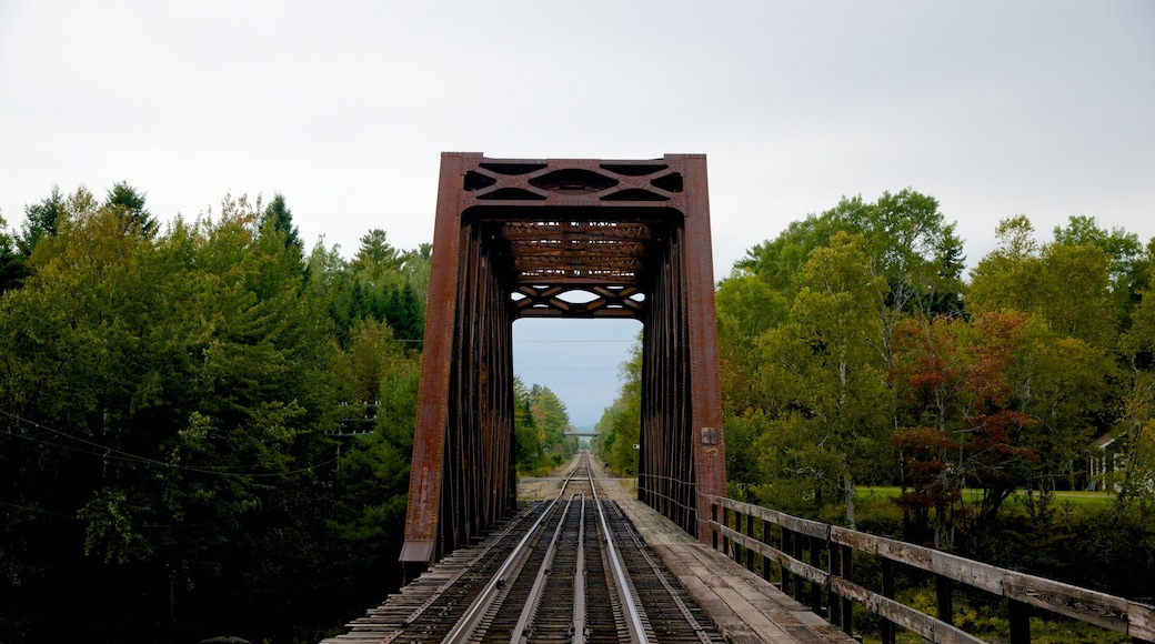 Greenville featuring railway items and a bridge