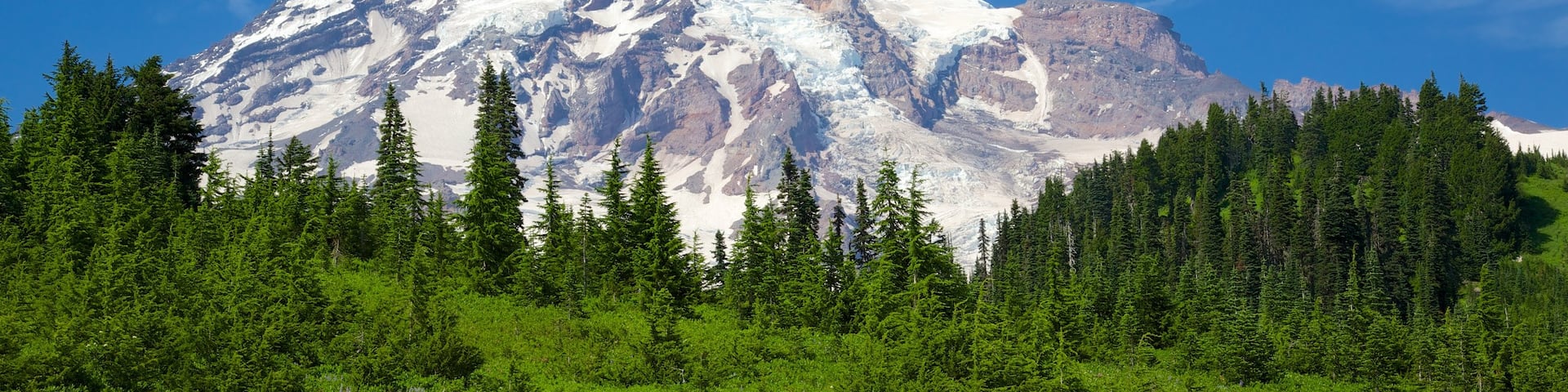Paradise showing mountains