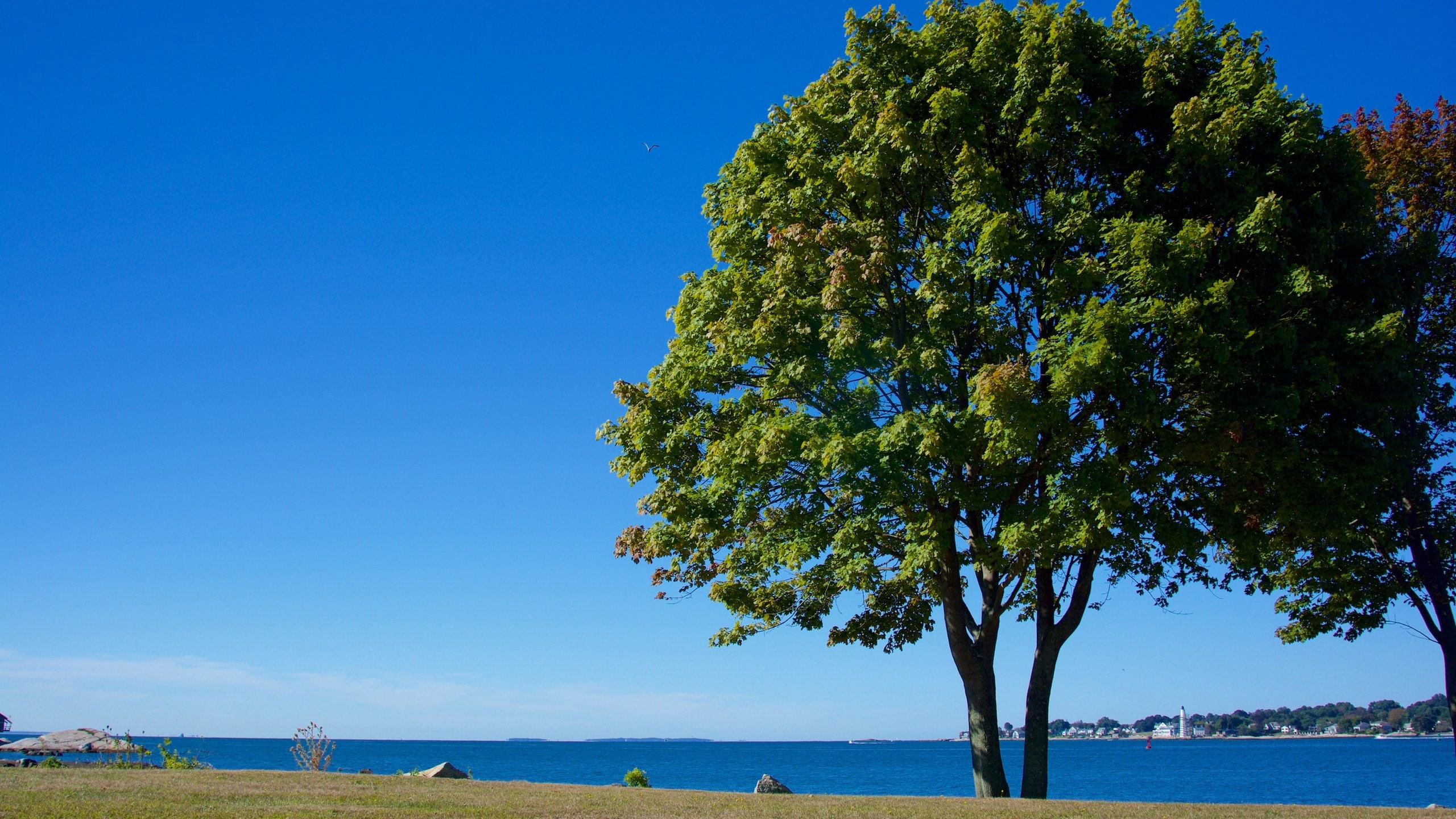 Groton, CT Vacation Rentals house rentals & more Vrbo