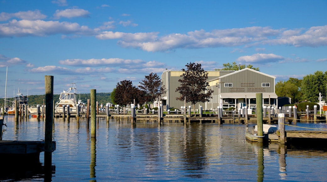 Essex showing a marina