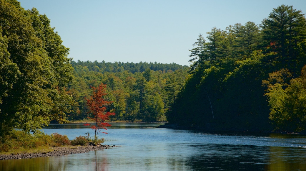 Solon showing a river or creek and tranquil scenes