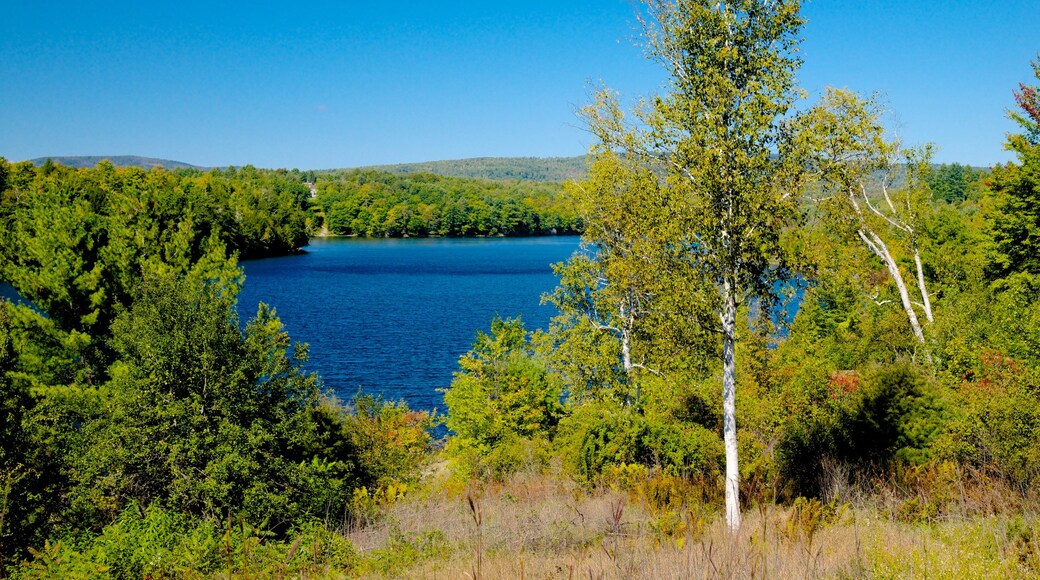 Solon showing a river or creek and tranquil scenes