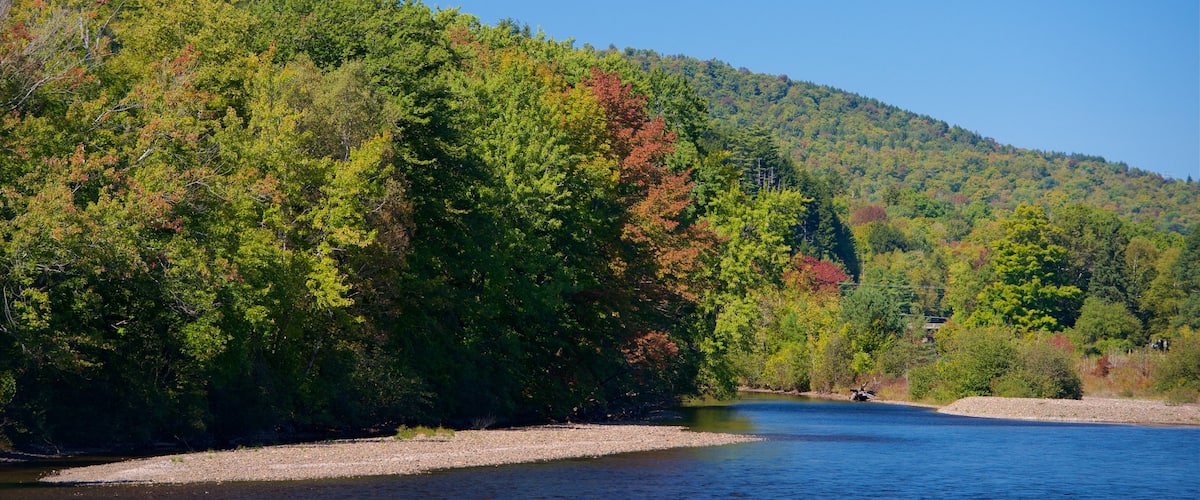 Bingham which includes a river or creek