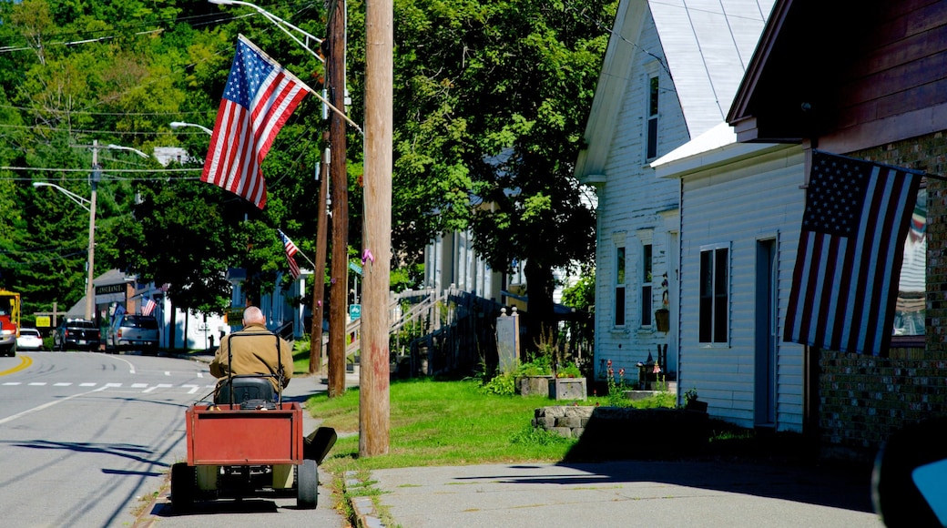 Bingham showing a small town or village as well as an individual male