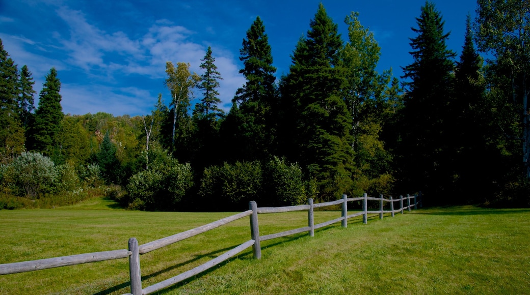 Rangeley featuring a park