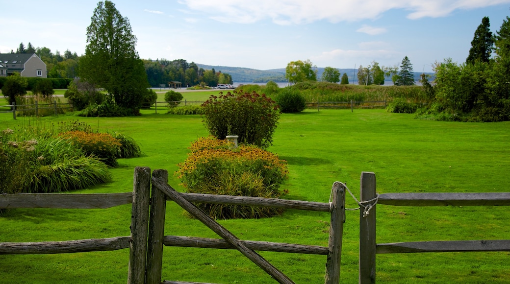 Rangeley which includes a park