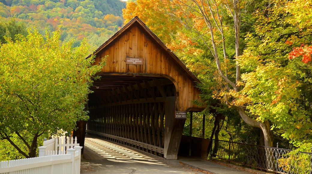 Woodstock which includes a bridge