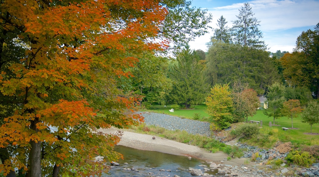 Woodstock which includes a river or creek and a garden