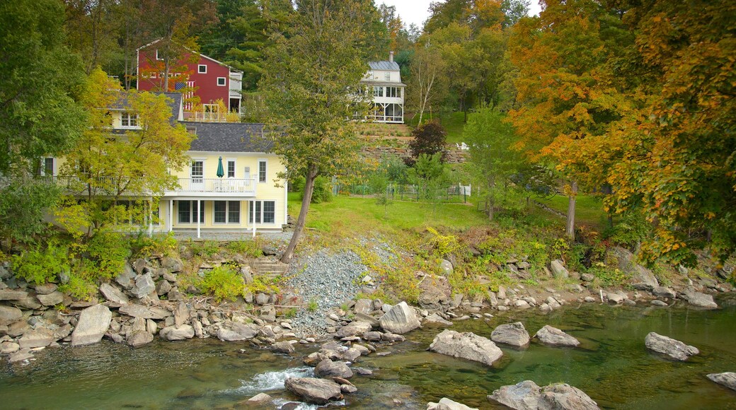 Woodstock ofreciendo un río o arroyo