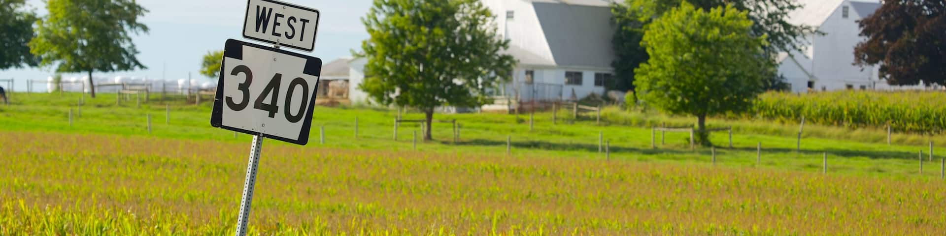Intercourse mit einem Farmland
