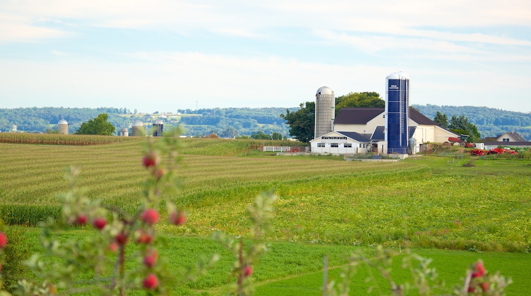 Intercourse which includes farmland and landscape views