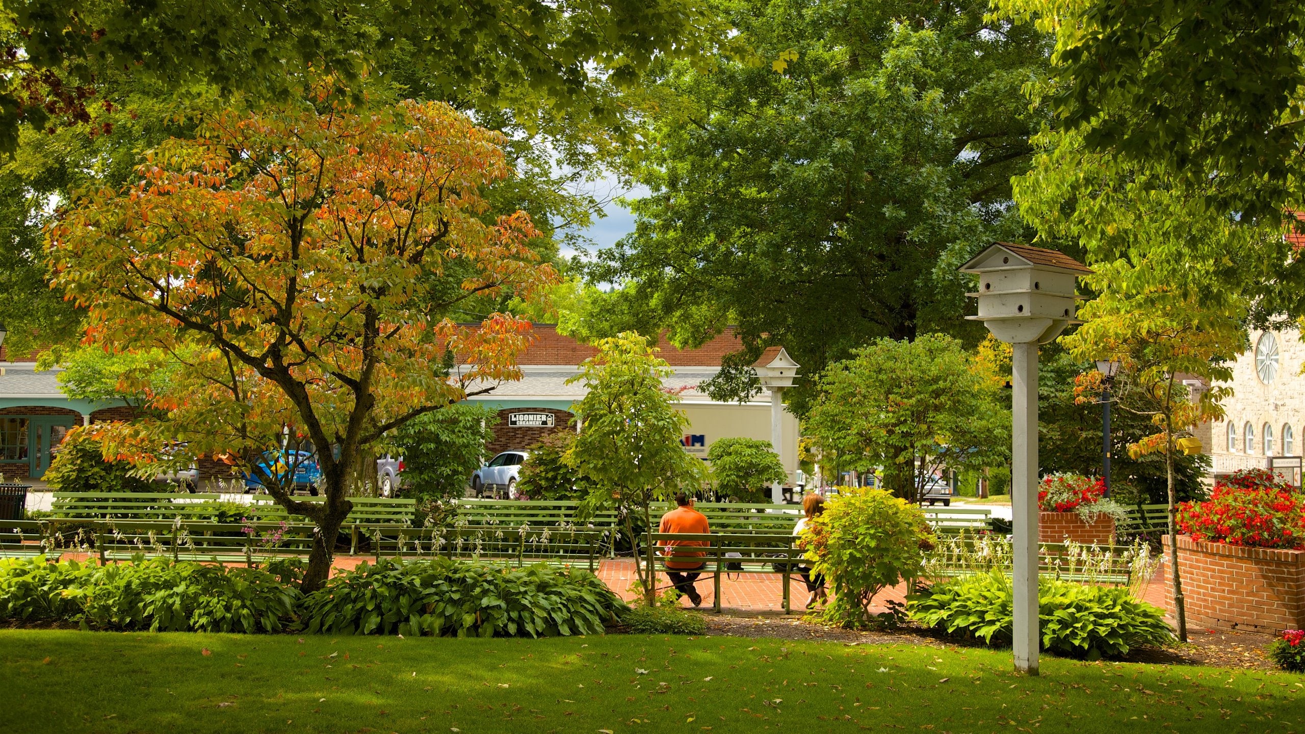 Ligonier which includes fall colors and a garden