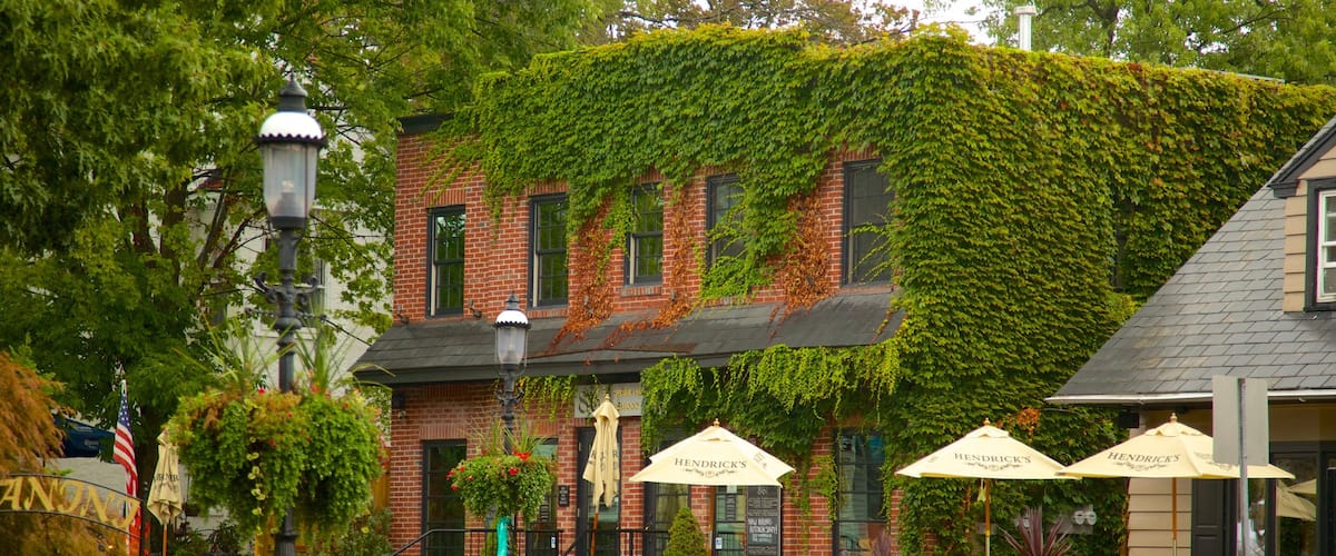 Doylestown featuring a small town or village