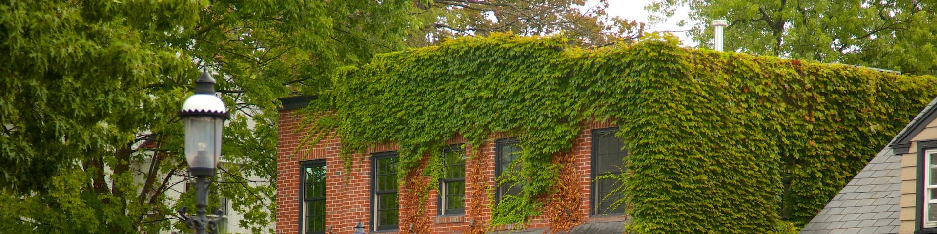 Doylestown das einen Kleinstadt oder Dorf