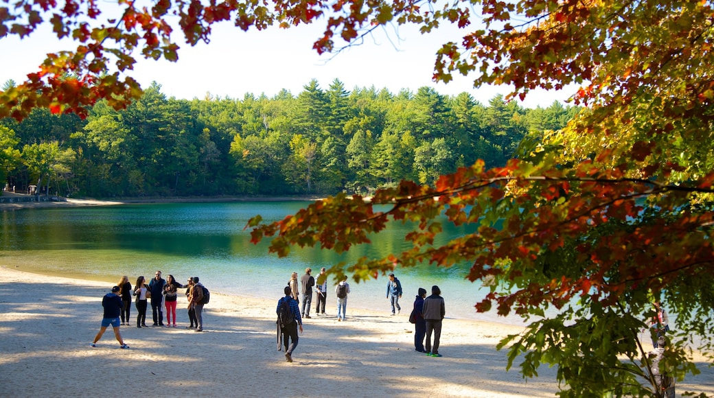 Laguna Walden mostrando un lago o abrevadero y también un pequeño grupo de personas