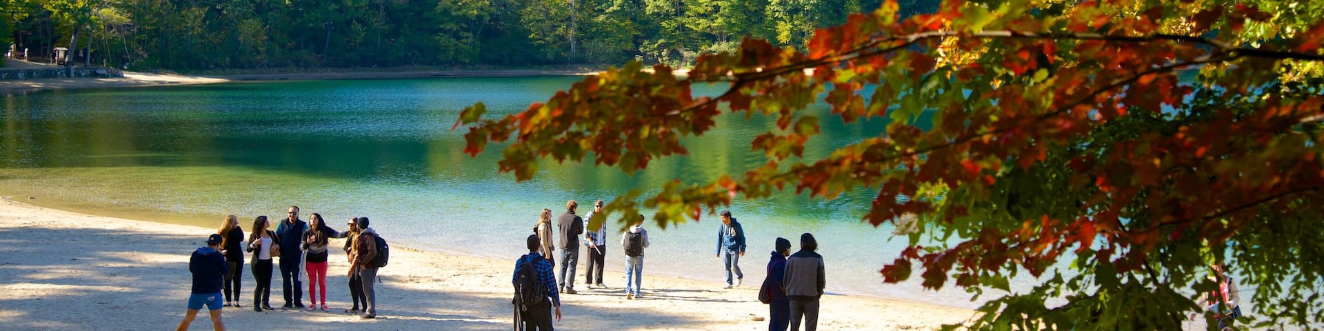 Walden Pond showing a lake or waterhole as well as a small group of people