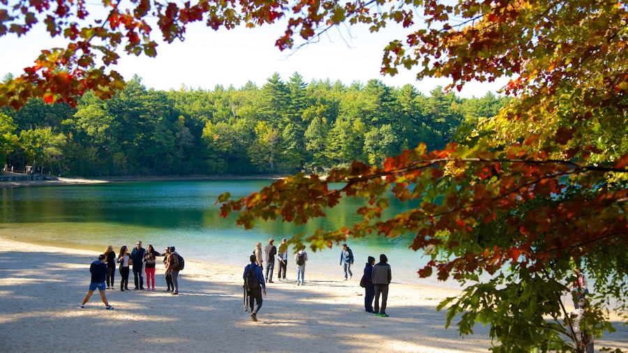 Etang de Walden montrant lac ou étang aussi bien que petit groupe de personnes