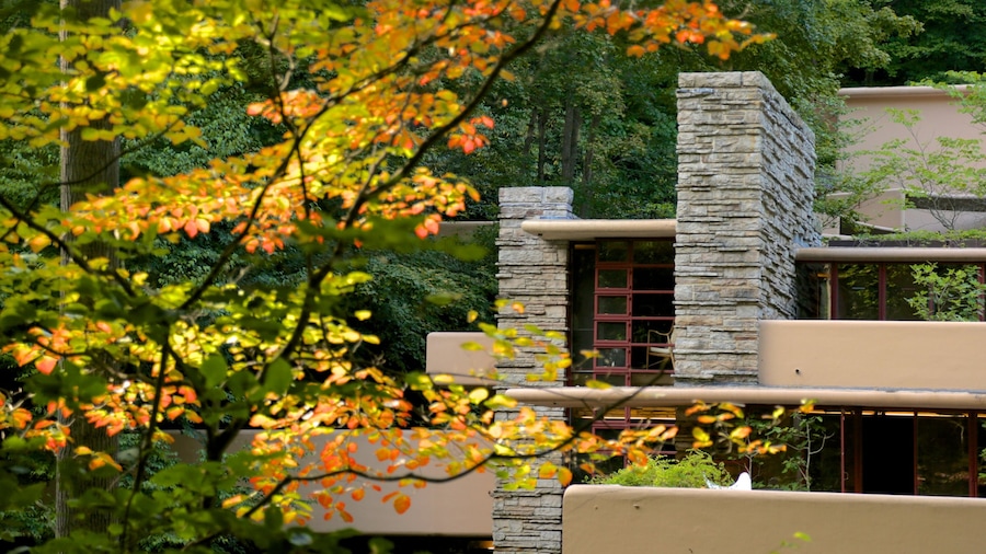 Fallingwater showing forest scenes, modern architecture and autumn leaves