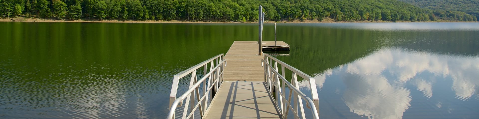 Nord-ouest de la Pennsylvanie montrant forĂȘts et vues littorales