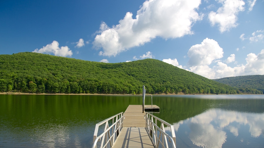 Northwest Pennsylvania which includes forests and general coastal views