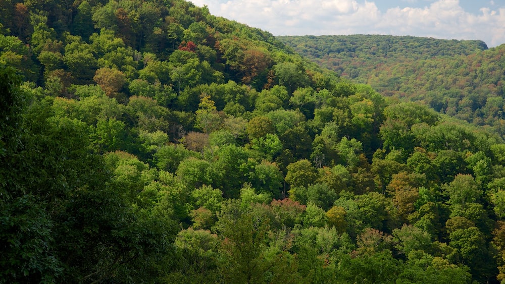 Nord-ouest de la Pennsylvanie montrant scènes tranquilles