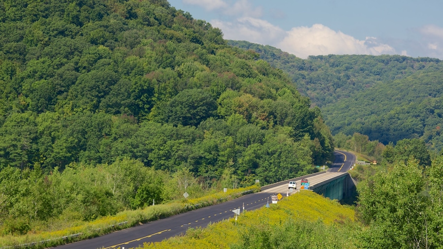 Noordwest-Pennsylvania toont bossen