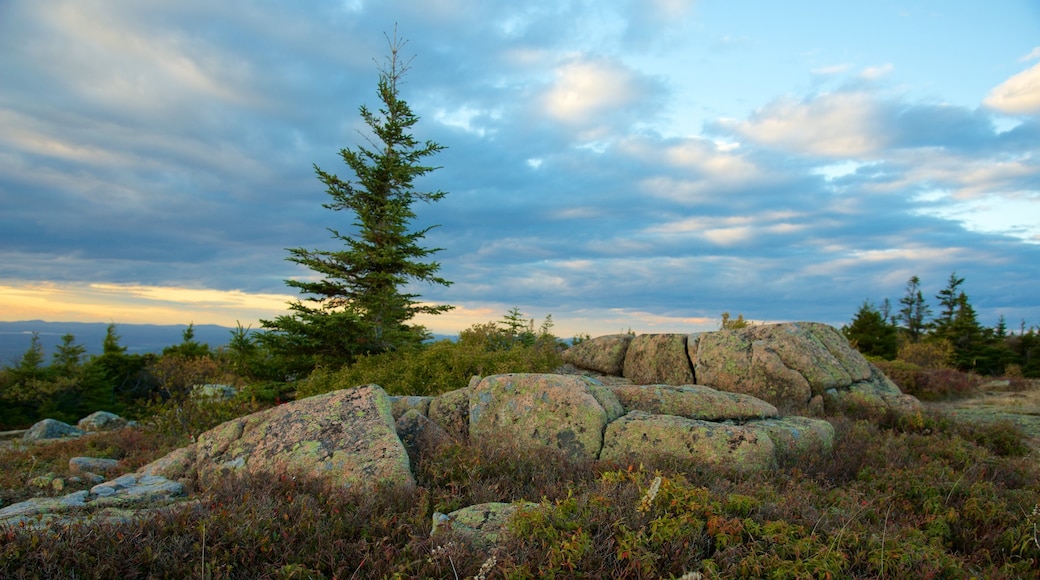 Cadillac Mountain que incluye vistas de paisajes