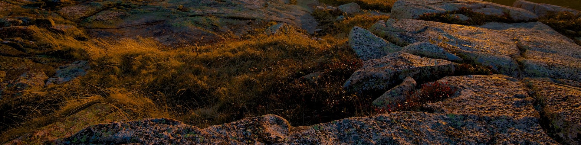 Cadillac Mountain mit einem Sonnenuntergang und Landschaften