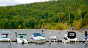 Lake Champlain Ferry showing a marina