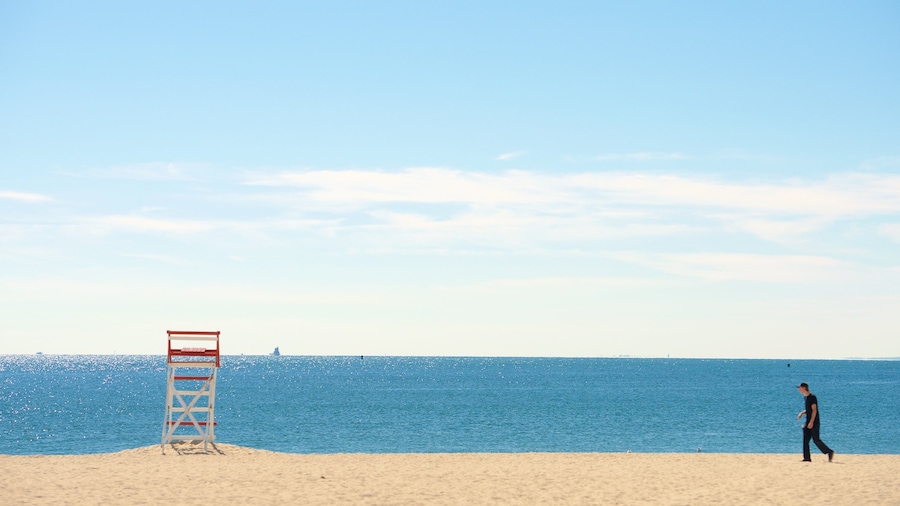 Ocean Beach Park showing a sandy beach