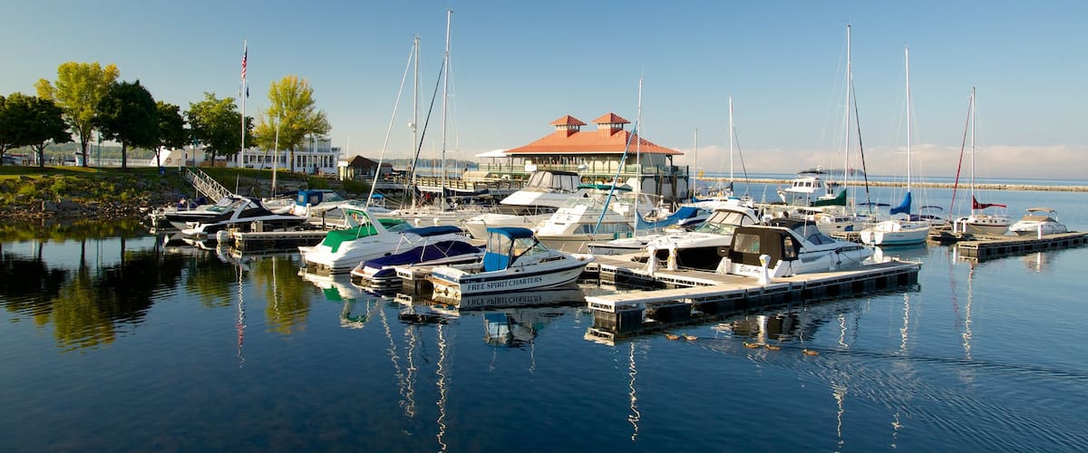 Waterfront Park mettant en vedette une marina