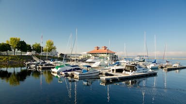 Waterfront Park showing a marina