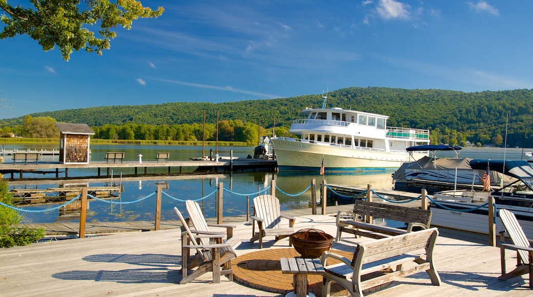 Keuka Lake State Park showing boating, a bridge and general coastal views