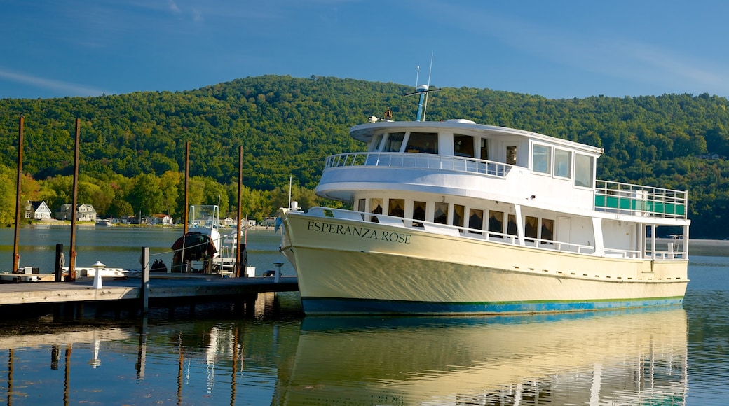 Keuka Lake Staatspark inclusief een meer of poel en varen