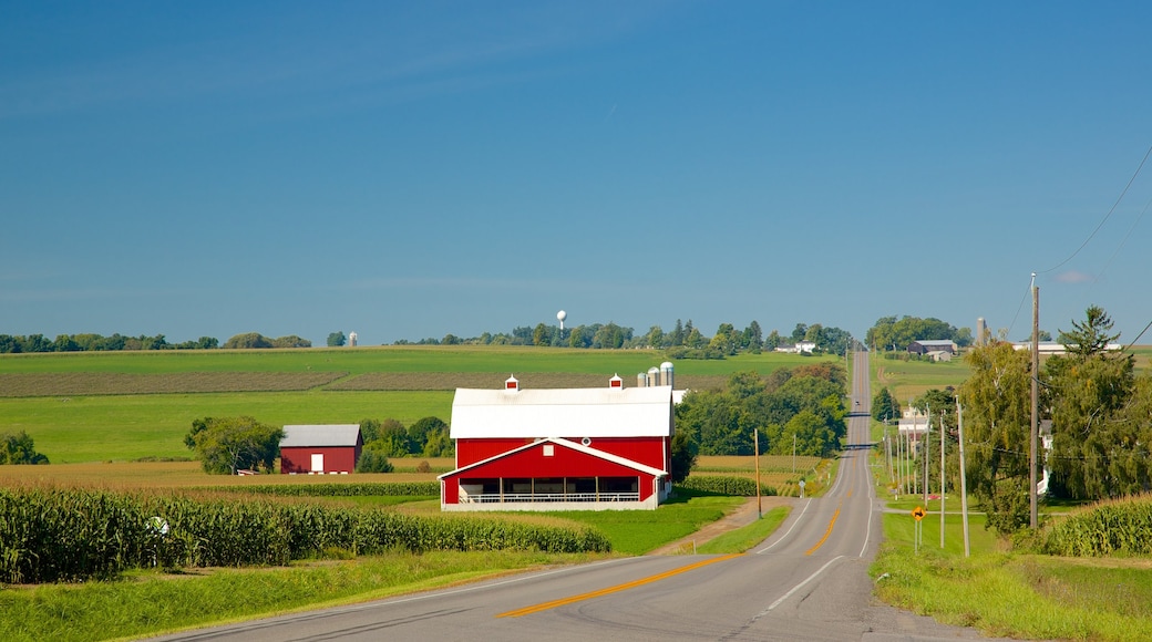 Keuka Lake State Park featuring farmland