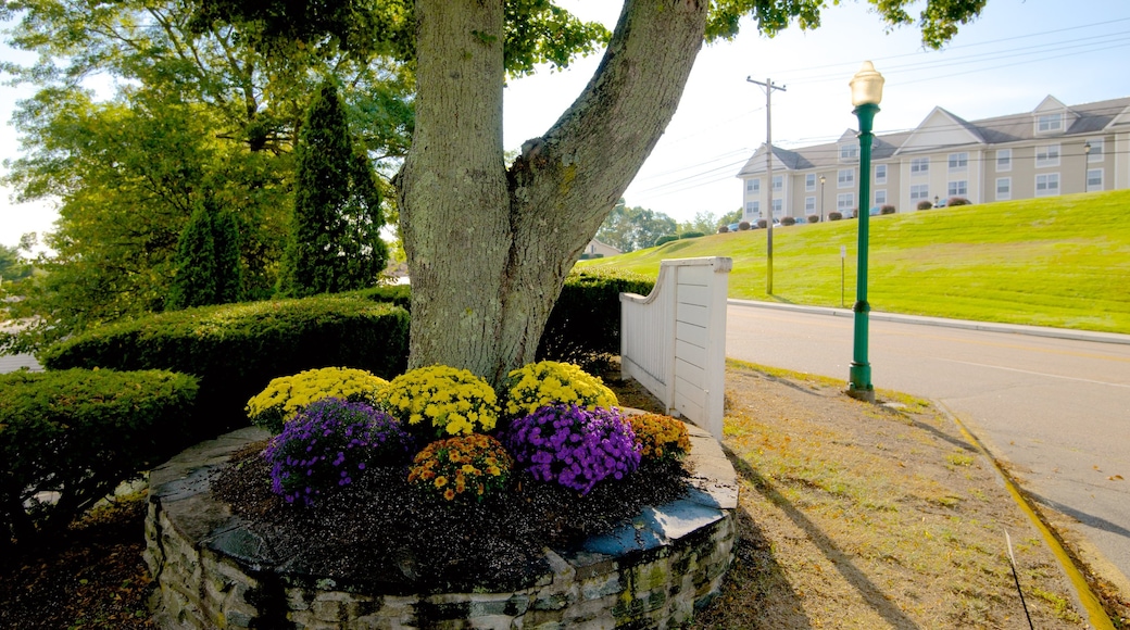 Olde Mistick Village fasiliteter samt blomster