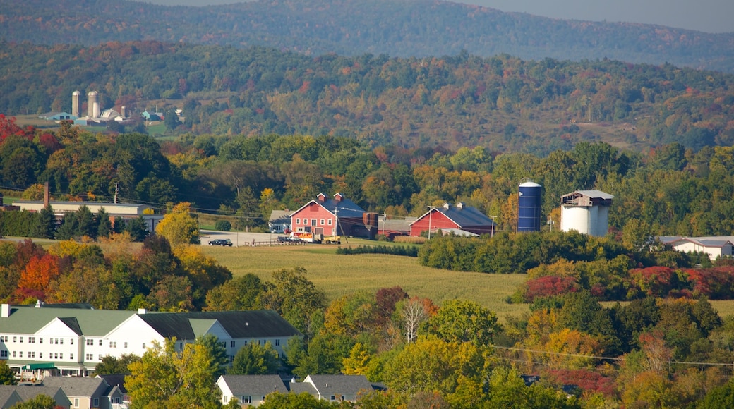 Bennington Battle Monument mostrando paisagem