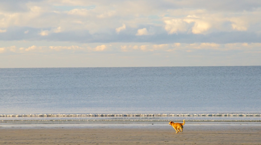 Playa Easton que incluye una playa de arena