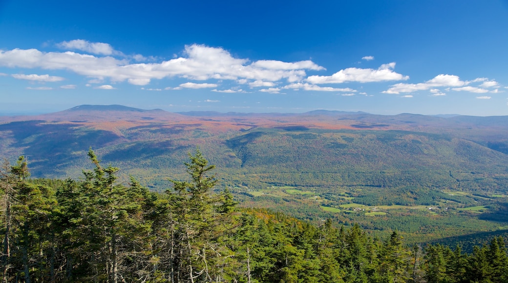 Mount Equinox inclusief landschappen, bos en bergen