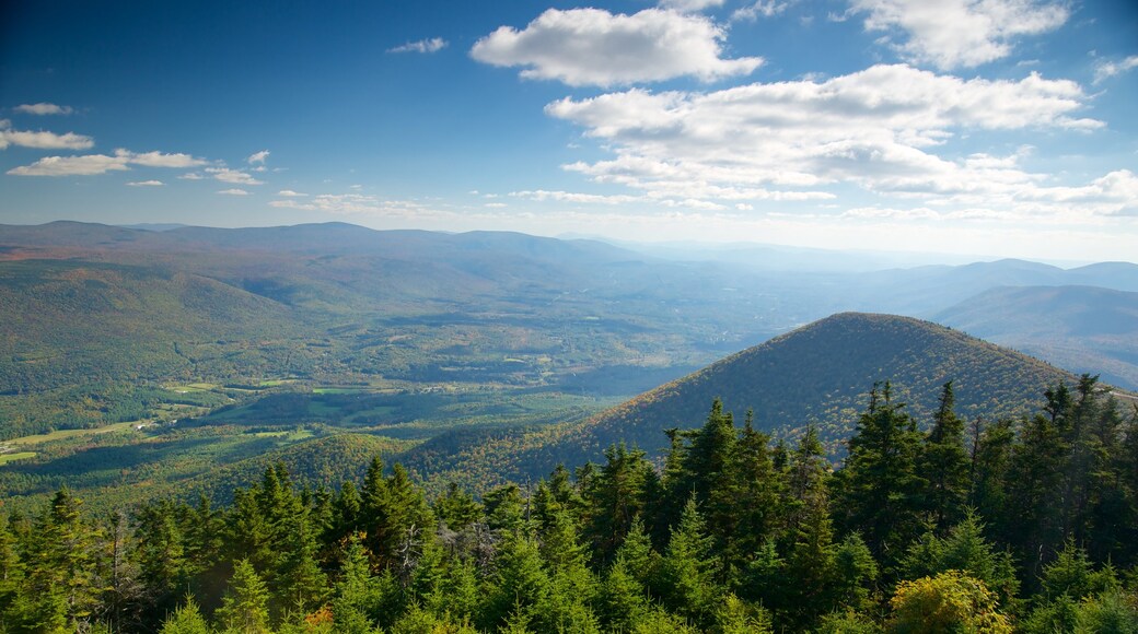 Mount Equinox welches beinhaltet Landschaften, Waldmotive und Berge