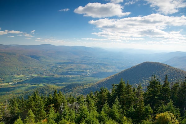Mount Equinox welches beinhaltet Landschaften, Waldmotive und Berge
