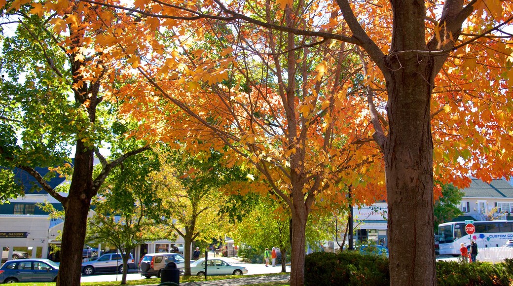 Aldea costera Village Green mostrando los colores del otoño y un jardín