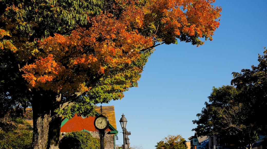 Village Green showing fall colors and skyline