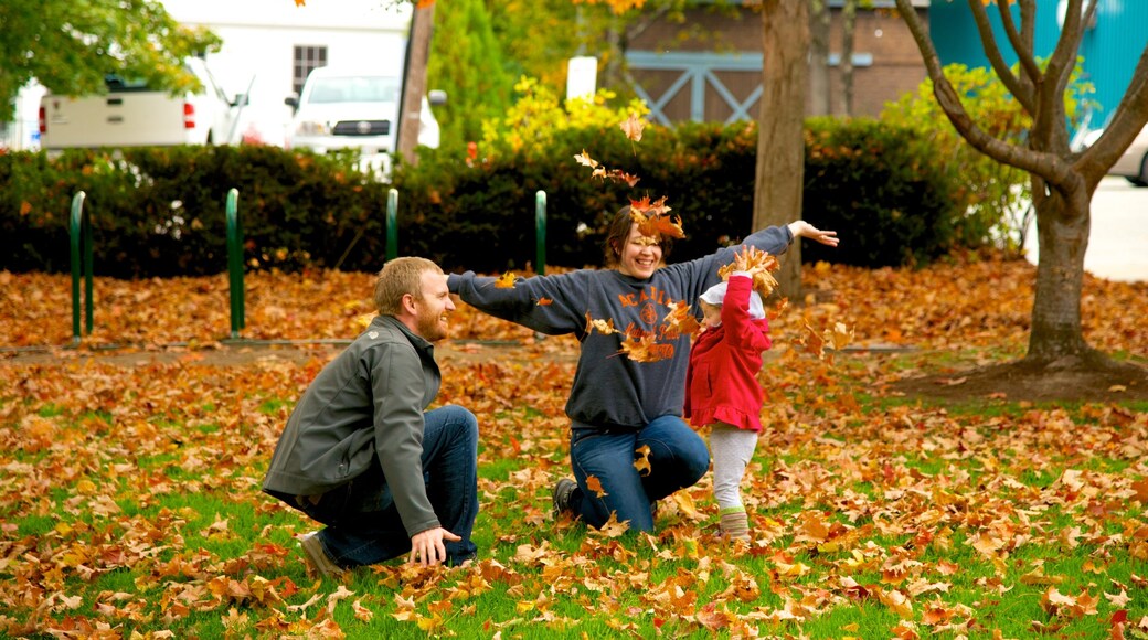 Village Green featuring a park and autumn leaves as well as a family