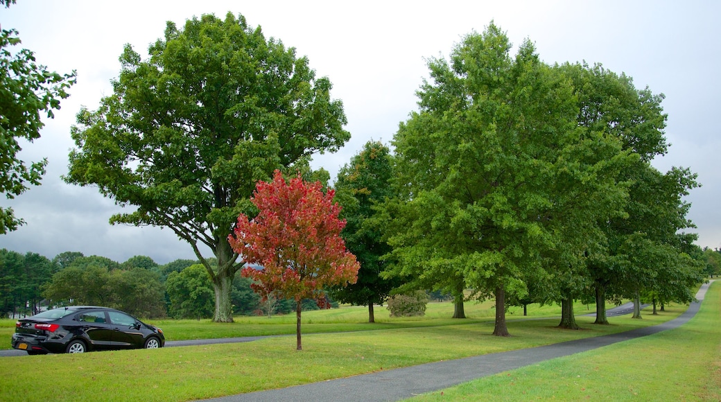 Taman Sejarah Negara Valley Forge