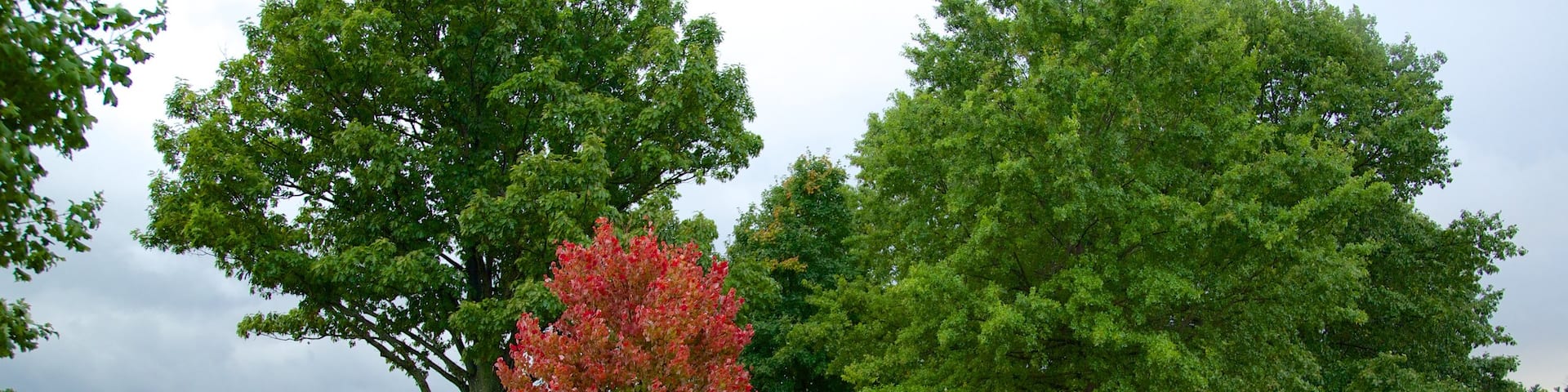 Valley Forge National Historic Park showing a park