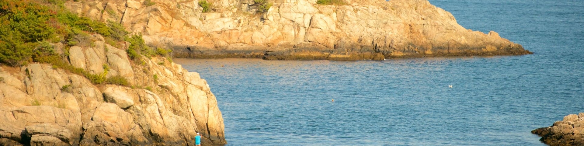 Fort Wetherill State Park which includes rugged coastline and general coastal views